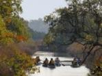 Canoeing at Caw Caw